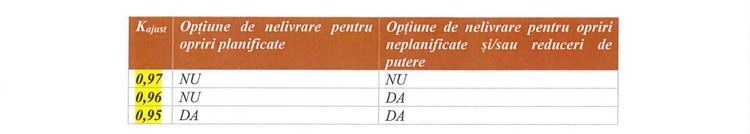 DOCUMENTE Cu reactorul 1 oprit și cu spectrul stopării și a celui de-al doilea, Nuclearelectrica a lansat licitație de vânzare de energie în avans pe 20 de ani. La ce preț minim