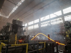 Donalam taie din consumul de energie în intervalul de vârf, la chemarea Guvernului. Anul trecut, pentru Profit.ro: La actualul preț al energiei din România, nici nu pot să visez să pornesc oțelăria de la Târgoviște!