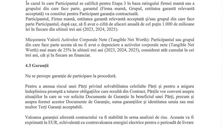 DOCUMENTE Licitații majore de vânzare de energie pe 20 de ani anulate: Nuclearelectrica a vrut cumpărători cu rating investment grade și garanție inițială pe cel puțin 10 ani