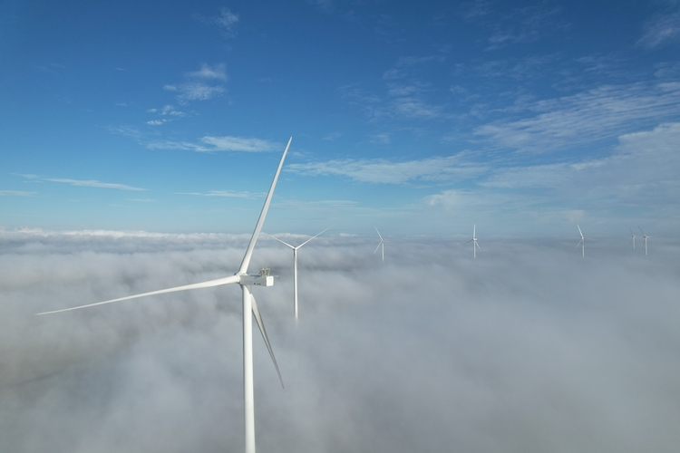 FOTO Cel mai mare proiect eolian nou din România din ultimul deceniu, pus în funcțiune. Rezolv Energy a lansat Etapa 1 a parcului eolian VIFOR