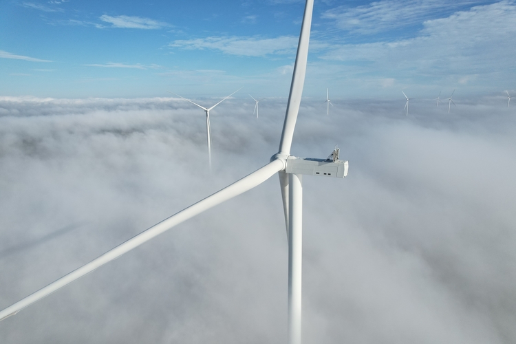 FOTO Cel mai mare proiect eolian nou din România din ultimul deceniu, pus în funcțiune. Rezolv Energy a lansat Etapa 1 a parcului eolian VIFOR