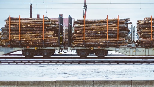 România a exportat lemn și plută în valoare de peste 482 milioane de euro, în primele 10 luni din 2017