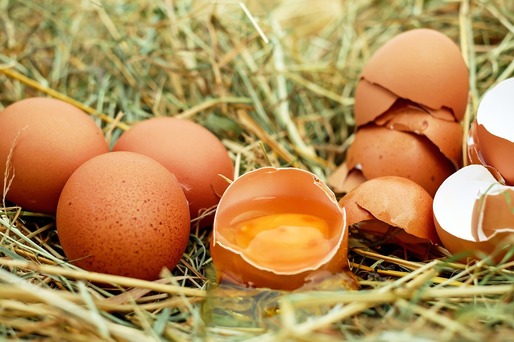 Probleme pe piața ouălor în mai multe țări, cantități mari au fost retrase de la vânzare