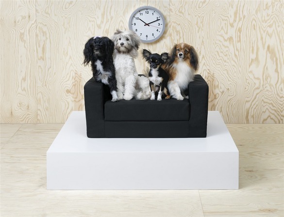 FOTO IKEA lansează în România o colecție pentru persoanele cu animale de companie