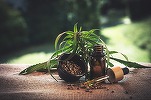 Producătorul canadian de cosmetice pe bază de CBD, componenta non-psihoactivă a cannabisului, Yield Growth intră în România