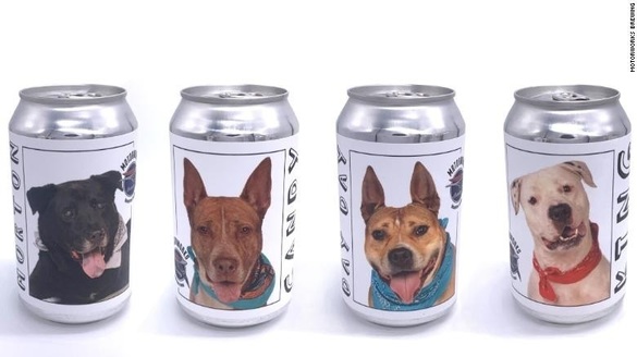 FOTO O fabrică din Florida a lansat cutii de bere cu fotografii ale unor câini ce pot fi adoptați