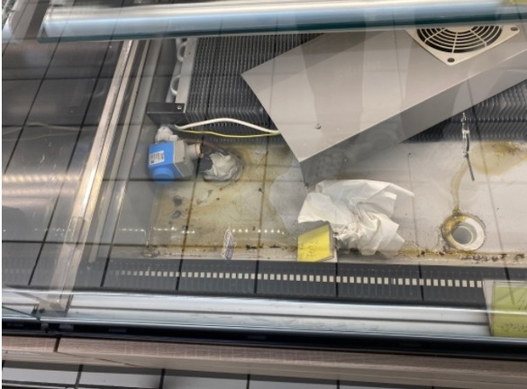 FOTO PREMIERĂ Protecția Consumatorilor vrea să închidă 6 luni două hypermarketuri Cora: insecte moarte în vitrine, praf, vitrine ruginite