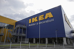 IKEA a depășit borna afacerilor de 1 miliard lei în România și a vândut hotdogi cât pentru un drum până la Timișoara. Suedezii pregătesc deschiderea din Timișoara - VIDEO