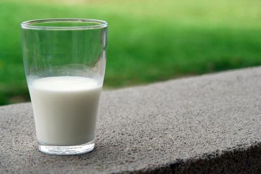 ULTIMA ORĂ Guvernul, procesatorii și marile magazine au convenit o reducere a prețului pentru laptele de consum timp de 6 luni. Fermierii vor primi peste 43 milioane euro ajutoare pentru producția de lapte 