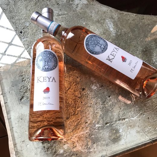 Vinul zilei: un roze proaspăt și fructat din nordul Italiei, din apropierea Alpilor, cotat cu 91 puncte Falstaff și 91 puncte Vinum