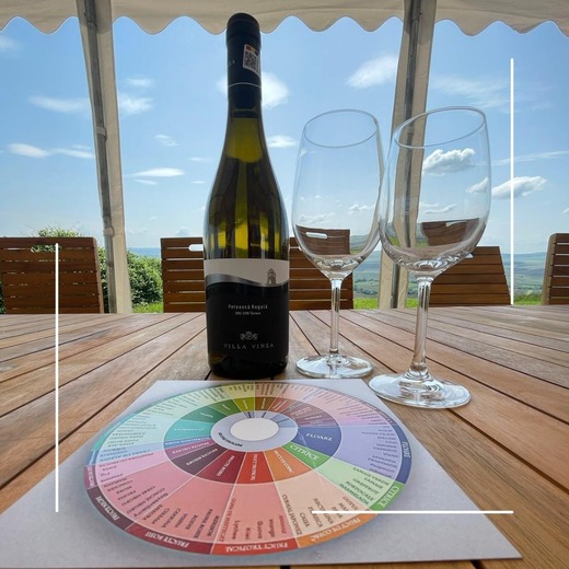 Vinul zilei: o Fetească Regală cu o frumoasă mineralitate, specifică terroirului de pe Târnava Mică, cu arome olfactive de flori de câmp, citrice verzi și iarbă proaspăt cosită, la care se adaugă tentele de pe palat de mere verzi și lime