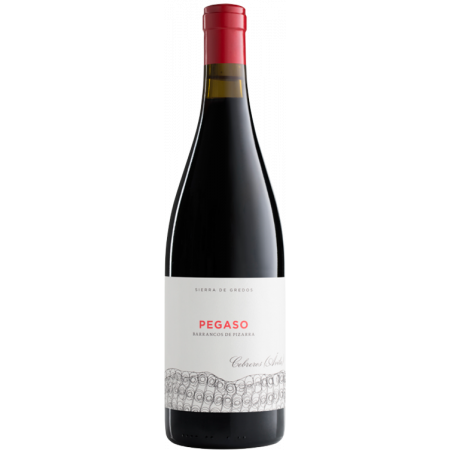 Vinul zilei: un roșu obținut din struguri Garnacha, un vin cu un caracter complex, expresiv, care dezvăluie arome din zona floral condimentată. Cotat cu 96 puncte Robert Parker
