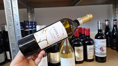 Vinul zilei: un alb din Campania, obținut din soiul Greco, un vin proaspăt și mineral, cu arome de caise, piersici și salvie. Elegant și echilibrat, perfect alături de carne albă și fructe de mare