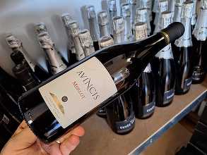Vinul zilei: un Merlot din Drăgășani, considerat unul dintre cele mai reușite vinuri de acest fel de la noi. Profil aromatic bazat pe fruct roșu și accente lemnoase. Un vin cu structură, fără a deveni ostentativ