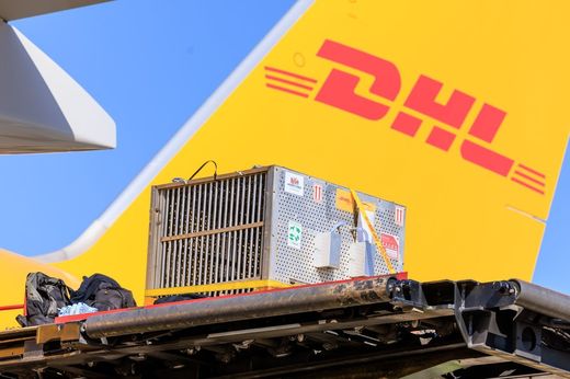 Nou jucător în România - DHL Supply Chain a intrat pe piață, alături de Pepco