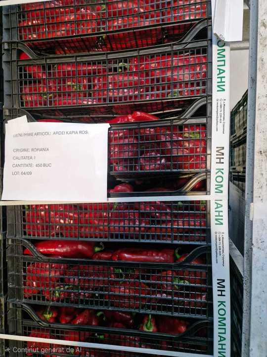 FOTO Caz grav descoperit în România. Peste 15 tone legume etichetate ca produse în România, dar care erau aduse din Uzbekistan