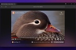 Browser-ul DuckDuckGo este disponibil pe Windows