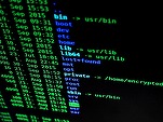 15% din populația Suediei, vizată de un atac cibernetic