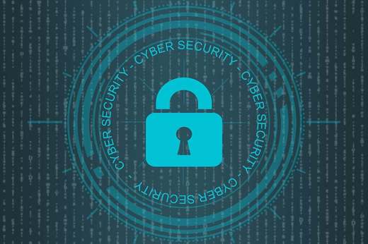 ULTIMA ORĂ Recompense pentru cine găsește probleme de securitate în sistemele online ale statului. Programe Bug Bounty - proiect