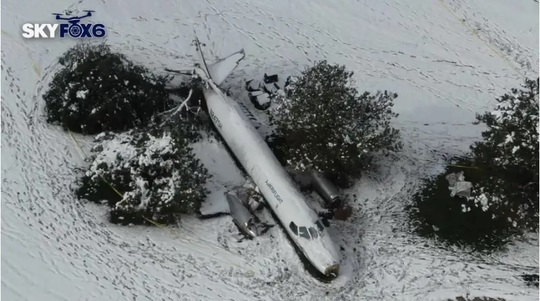 FOTO Un avion care transporta zeci de câini s-a prăbușit în SUA