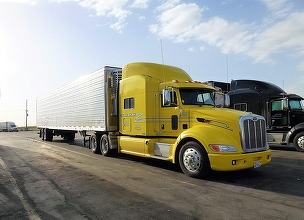 Trump impune șoferilor de camioane să vorbească limba engleză