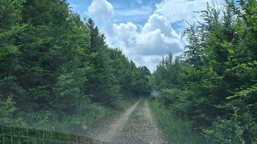 Drumul Regelui intră în modernizare