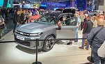 Dacia scade peste media pieței în Franța