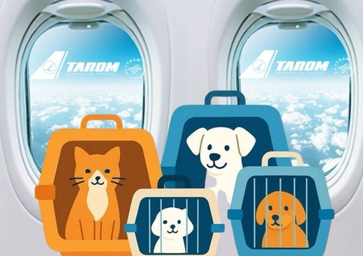 TAROM acceptă mai multe animale de companie în cabina de pasageri