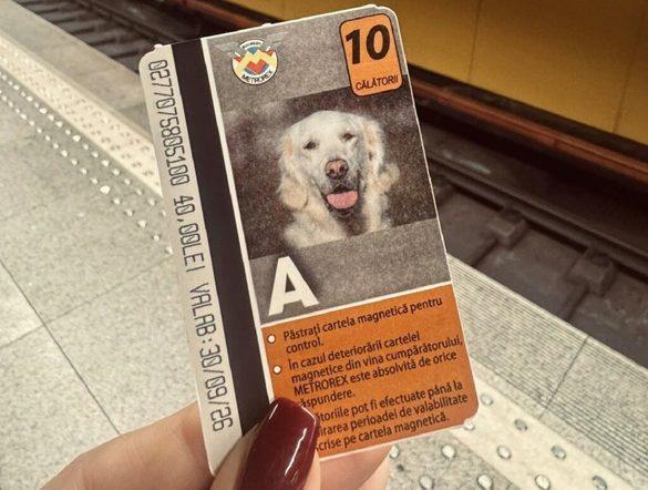 Sursa foto: Facebook / Hilde Tudora Sursa foto: Facebook / Hilde Tudora