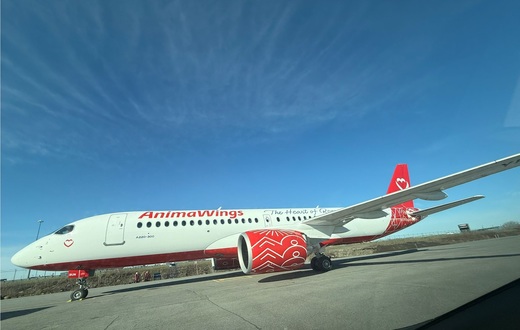 AnimaWings lansează noi rute din România
