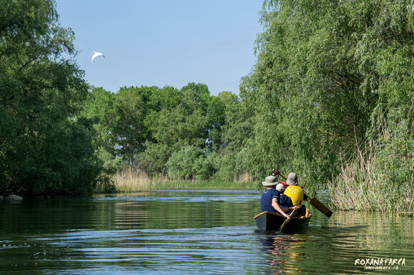 FOTO Numărul corporatiștilor plecați în vacanță în zone ecoturistice s-a dublat. Plătesc și 200 euro pe zi și se relaxează călărind, pedalând, mergând cu caiacul sau observând animale din foișor