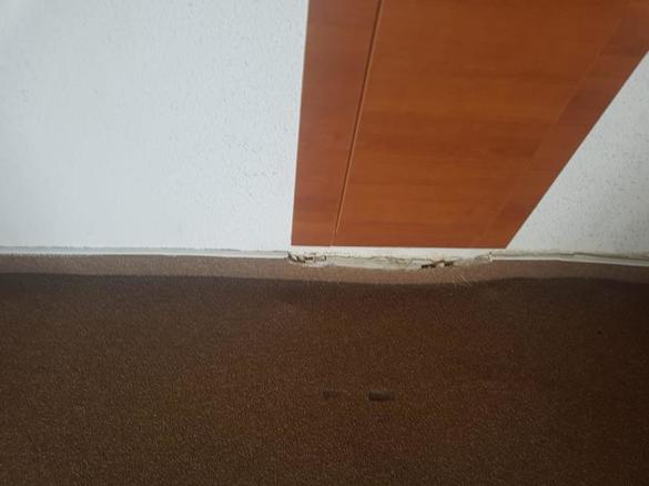 FOTO Zeci de camere de la un complex hotelier din Mamaia, închise temporar de ANPC după ce au fost găsite mai multe nereguli