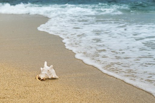 Cele mai curate plaje din ultimii trei ani, pe litoral. Explicația