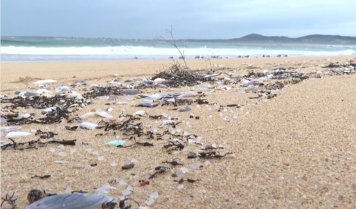 VIDEO Stare de urgență declarată în nordul Spaniei din cauza invaziei de plastic pe plaje. O furtună a aruncat în mare mai multe containere cu plastic
