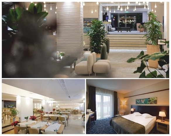 Anunț organizare licitație publică cu strigare