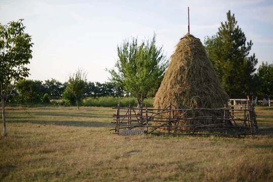 FOTO Conacul neoromânesc de la Nana, în mijlocul Bărăganului, estimat de Artmark Historical Estate la 250.000 de euro