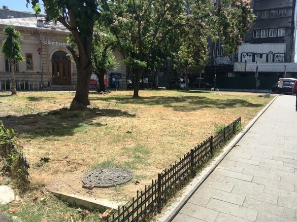 EXCLUSIV FOTO Idee de bloc cu 7 etaje pe spațiul verde din fața Cărturești, de pe Magheru colț cu Verona. Primăria poate fi bună de plată, cu sprijinul Guvernului