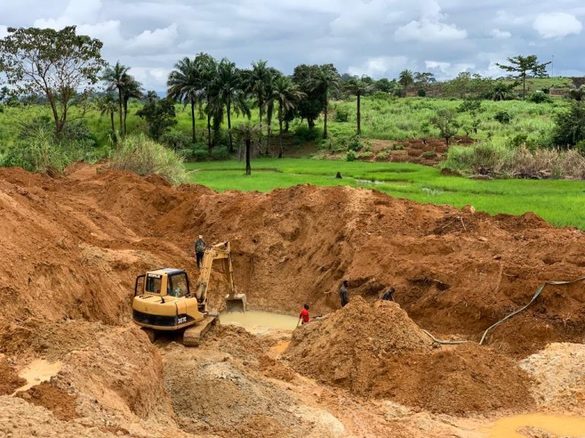 INTERVIU Adrian Vitan și Costin Nimară, fondatori QAM: QAM Token este o monedă cu o valoare egală a aurului