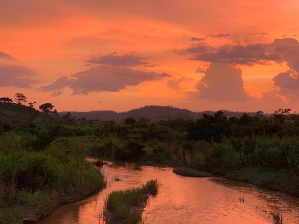 INTERVIU Adrian Vitan și Costin Nimară, fondatori QAM: QAM Token este o monedă cu o valoare egală a aurului