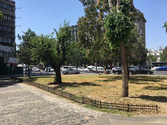FOTO Ciucu a descoperit: „Un «jmecher» a pus, Dumnezeu știe cum, mâna pe terenul din fața Cărturești și vrea să ridice un bloculeț în fața clădirii-monument! Caz semnalat de Profit.ro