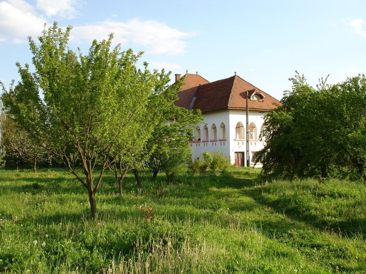 FOTO Castelul Cantacuzino-Ghica Deleni, la vânzare cu reducere de preț