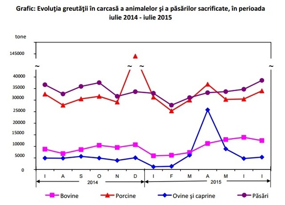 Sacrificările de bovine au scăzut cu 8,7% în luna iulie