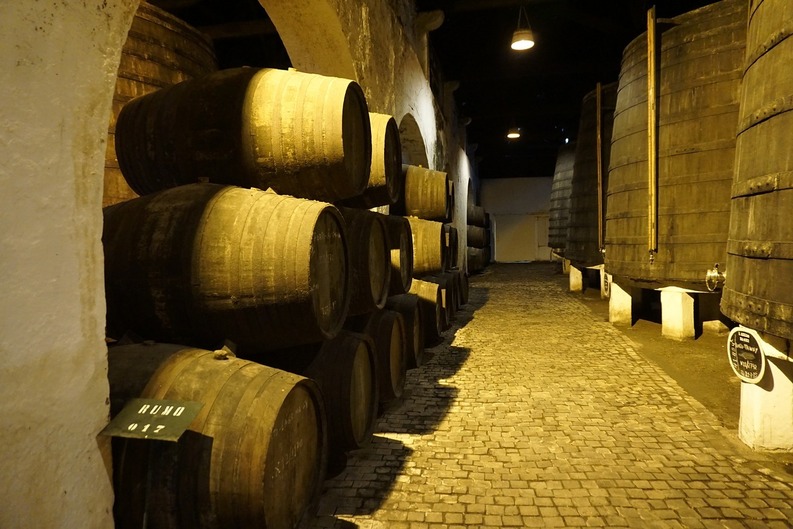 Micii producători de vin, care comasează 30 de hectare, pot primi până la 1 milion de euro pentru noi crame