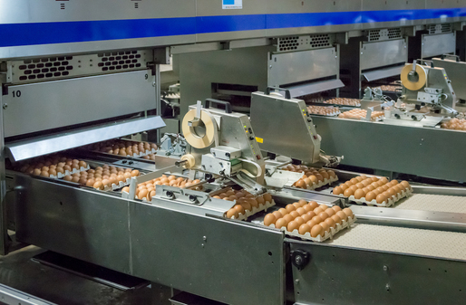 Producătorul de ouă Toneli a investit 36 milioane euro în ultimii opt ani în modernizarea facilităților de producție