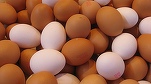 Raport: Europa se confruntă cu prețuri foarte mari ale ouălor în urma \