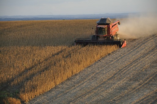 Prețurile la soia explodează în piețele internaționale, în contextul secetei din Argentina