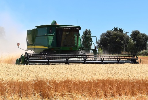 Producția de cereale a României a crescut cu 12,4% anul trecut, până la 24,5 milioane tone