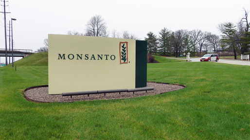Monsanto a vrut să retragă 50 milioane dolari din România pentru a-i investi în alte operațiuni ale grupului, dar s-a răzgândit din cauza "dezavantajelor fiscale"