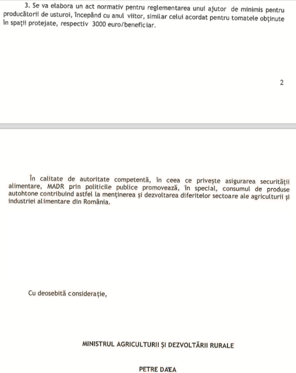 DOCUMENT Ajutorul de minimis - extins și la usturoi