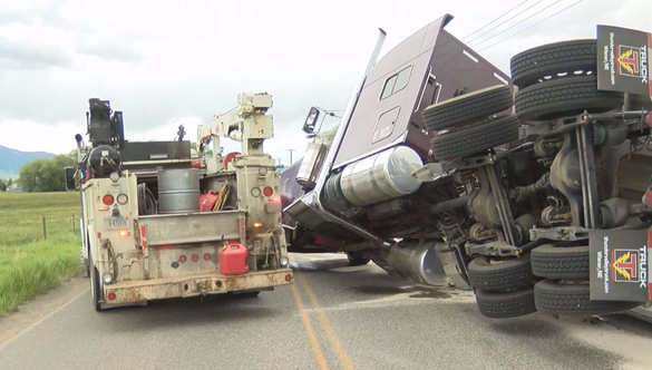 FOTO Un autocamion încărcat cu peste 130 de milioane de albine s-a răsturnat în Montana